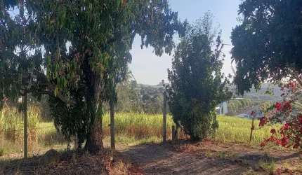 Oportunidade imperdível: Sítio à venda em Elias Fausto-SP, bairro Cardeal, 3 quartos, 1 sala, 2 banheiros, 8,30 alqueires de área!