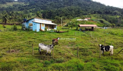 Chácara com 3 dormitórios à venda, 8300 m² por R$ 650.000,00 - Jardim Guarapari - Guarapari/ES