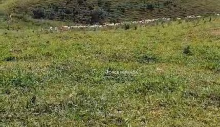 Fazenda à venda, 484 m² por R$ 3.200.000,00 - Zona Rural - Alfredo Chaves/ES