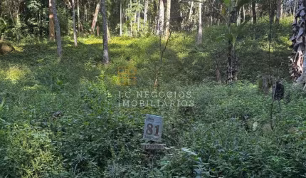 Terreno à venda no bairro Varginha - Santo Amaro da Imperatriz/SC