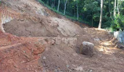 Terreno à venda, 700 m² por R$ 250.000,00 - Engenho do Mato - Niterói/RJ