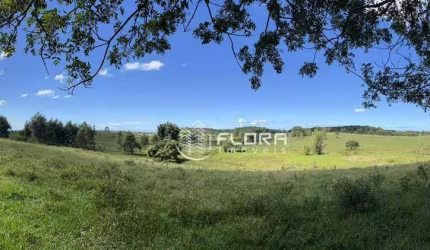 Fazenda à venda, 25000 m² por R$ 9.000.000,00 - Banqueiros - Araruama/RJ