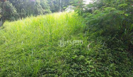 Terreno à venda, 585 m² por R$ 235.000,00 - Itaipu - Niterói/RJ