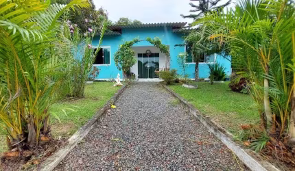 Lindo sírio