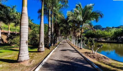 Sítio com 3 dormitórios à venda, 31374 m² por R$ 2.800.000,00 - Escalvados - Navegantes/SC