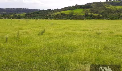 Fazenda para Venda em Vera Cruz, Centro