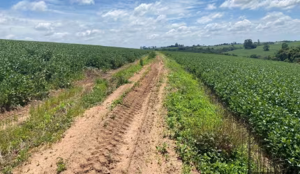 Fazenda para Venda em Itapetininga, Centro