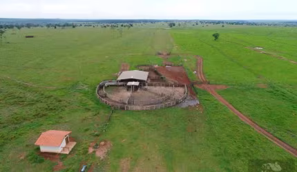Fazenda para Venda em Cassilândia, (Fazendinha)