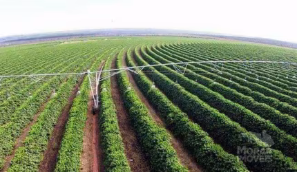 Fazenda para Venda em Belo Horizonte, Santa Amélia