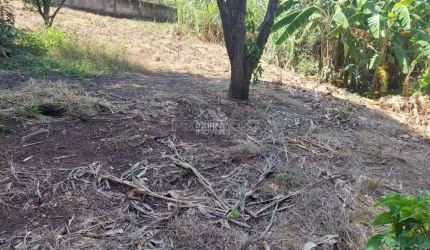 Terreno para Venda em Cotia, Parque Bahia