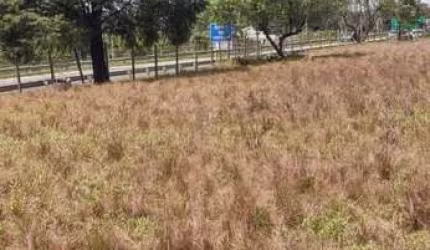 Área para Venda em São Roque, Jardim Cardoso (Mailasqui)