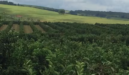 Fazenda para Venda em Botucatu, Centro