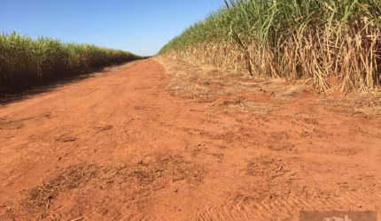 Fazenda para Venda em Chapadão do Céu, Centro