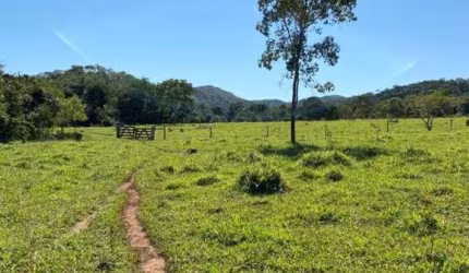 Fazenda para Venda em Paracatu, Santana