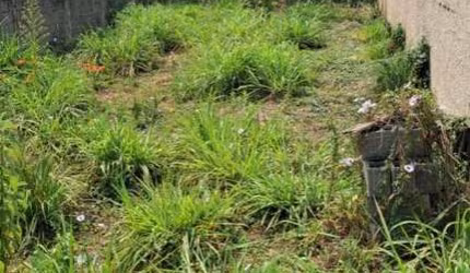 Terreno para Venda em Cajamar, Portais (Polvilho)