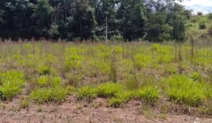 Lote para Venda em Santana de Parnaíba, Loteamento Jardim das Flores