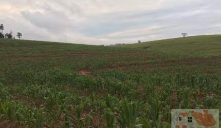 Fazenda para Venda em São Paulo, Vila Moinho Velho