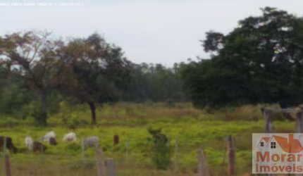 Fazenda para Venda em Pirapora, Aparecida