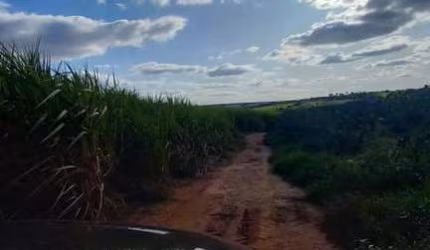 Fazenda para Venda em Mogi Guaçu, Centro