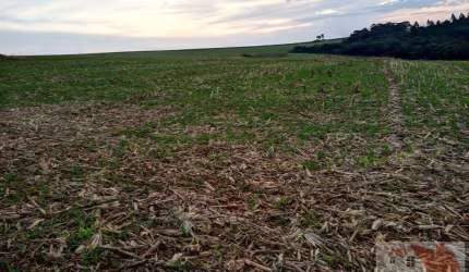 Fazenda para Venda em Avaré, Braz I