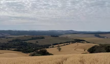 Fazenda para Venda em Belo Horizonte, Santa Amélia, 2 dormitórios, 1 banheiro, 1 vaga