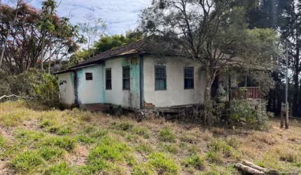 Fazenda para Venda em Belo Horizonte, Santa Amélia, 2 dormitórios, 1 banheiro, 1 vaga