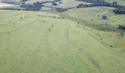 Fazenda para Venda em Mococa, Vila Mariana