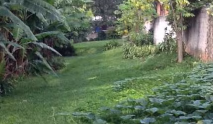 Terreno à venda na Rua Ernest Renam, 001, Paraisópolis, São Paulo por R$ 900.000