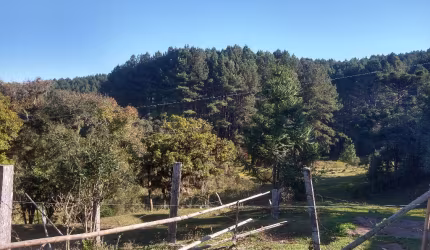 Lindo sítio em Tijucas do Sul BAIXOUUUU