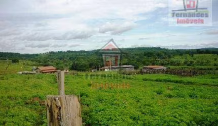 Fazenda à venda, 1.500 há por R$ 25.000.000 - Zona Rural - Campinápolis/MT