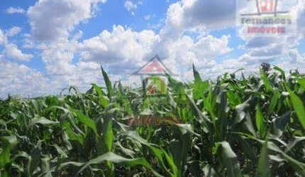 Fazenda à venda  1.450 Há  em Dourados/MS