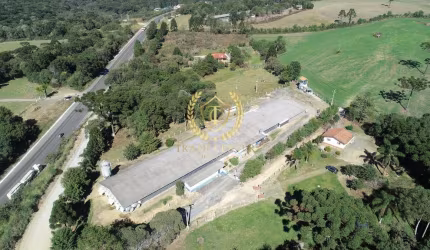 Aviário em Funcionamento padrão JBS