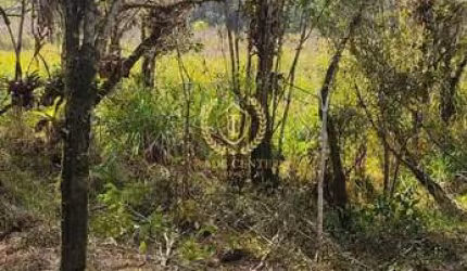 Chácara com aprox  23.880,00m² - Borda do Campo prox a Br.277 - São José dos Pinhais