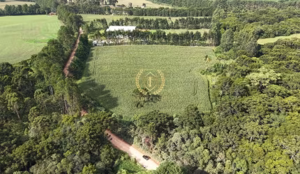 Terreno à venda em São José dos Pinhais/PR
