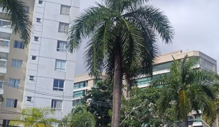 APARTAMENTO  2/4  PARA ALUGAR  NO ALPHAVILLE.