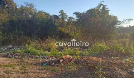 Área à venda, 6503 m² por R$ 350.000,00 - Jardim Atlântico Central (Itaipuaçu) - Maricá/RJ