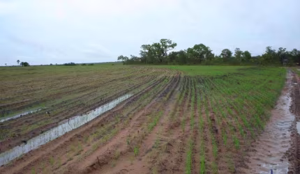 FAZENDA 1.300 ALQUEIRES PARA LAVOURA COM OUTORGA PARA IRRIGAÇÃO EM RIO SONO-TO