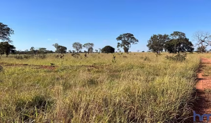 FAZENDA COM 30 ALQUEIRES DUPLA APTIDÃO NO MUNICÍPIO DE CAMPINA VERDE - MG