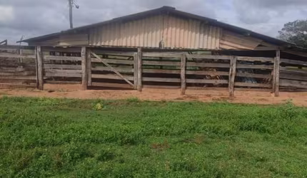 FAZENDA DUPLA APTIDÃO COM 39 ALQUEIRES PAULISTAS EM VOTUPORANGA - SP