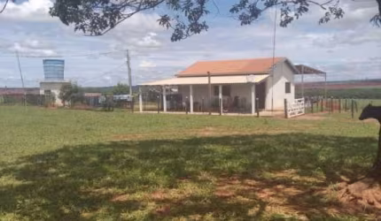 FAZENDA PARA AGRICULTURA EM AMENDOIM COM 84,5 ALQUEIRES PAULISTAS EM JUNQUEIRÓPOLIS - SP