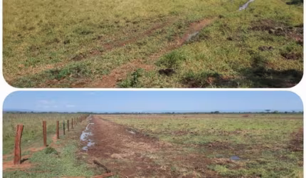 FAZENDA PARA PECUÁRIA COM 130 ALQUEIRES EM FORMOSA - GO