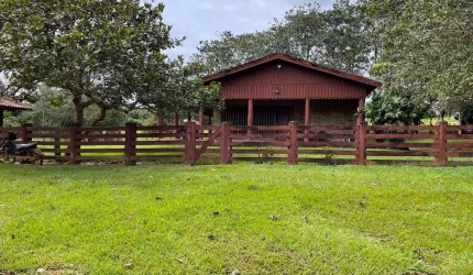 FAZENDA DUPLA APTIDÃO COM 14.800 HECTARES EM URUARÁ - PA