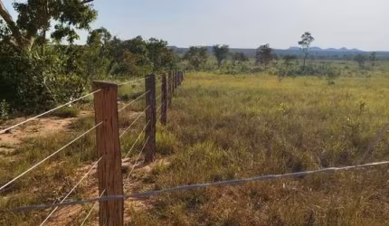 FAZENDA DUPLA APTIDÃO 1.250 ALQUEIRES EM RECURSOLÂNDIA-TO