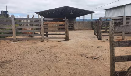 FAZENDA DUPLA APTIDÃO COM 150 HECTARES EM POUSO ALEGRE - MG