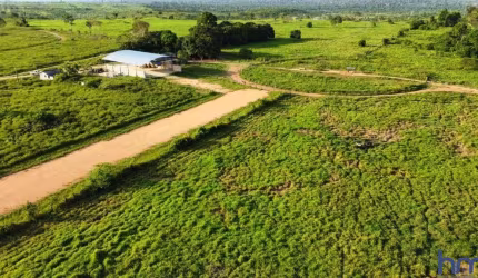 FAZENDA DUPLA APTIDÃO COM 340 ALQUEIRES EM GOIANÉSIA DO PARÁ - PA