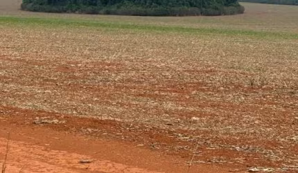 FAZENDA DUPLA APTIDÃO COM 350 ALQUEIRES EM CIDADE OCIDENTAL - GO