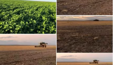 FAZENDA DUPLA APTIDÃO COM 2.507 ALQUEIRES EM ARINOS - MG