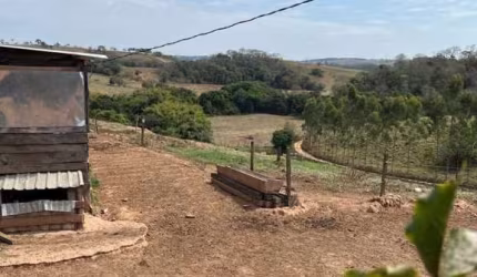 SÍTIO DUPLA APTIDÃO COM 7 ALQUEIRES PAULISTAS  EM PIUMHI - MG