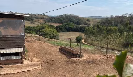 SÍTIO DUPLA APTIDÃO COM 7 ALQUEIRES PAULISTAS  EM PIUMHI - MG
