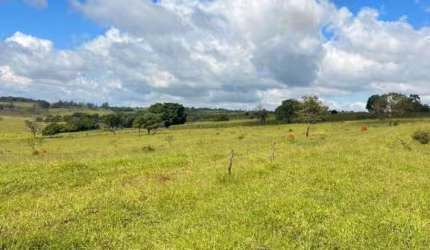 FAZENDA DUPLA APTIDÃO COM 60 HECTARES  EM PIUMHI - MG